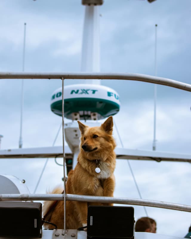 Out Destination Transport